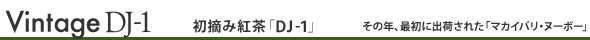 DJ-1@g