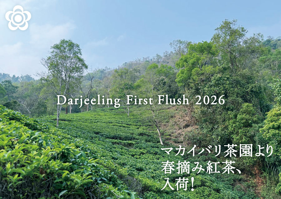 �I�[�K�j�b�N �g�� �}�J�C�o�� Makaibari Tea Estate