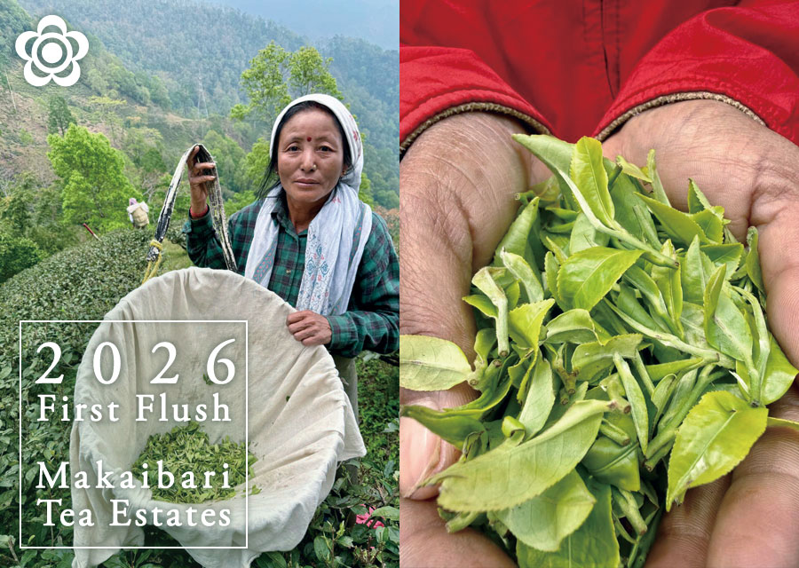 �I�[�K�j�b�N �g�� �}�J�C�o�� Makaibari Tea Estate