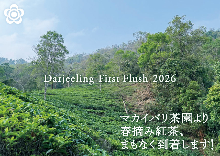 �I�[�K�j�b�N �g�� �}�J�C�o�� Makaibari Tea Estate