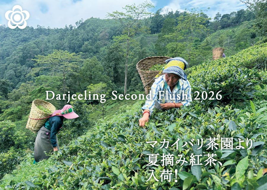 �I�[�K�j�b�N �g�� �}�J�C�o�� Makaibari Tea Estate