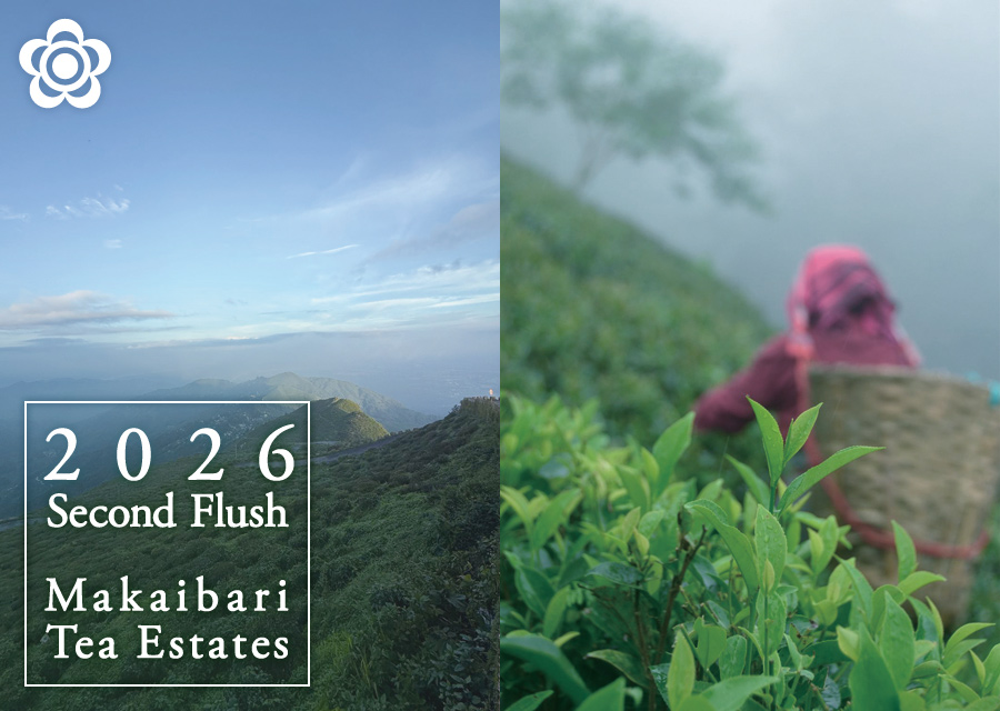 �I�[�K�j�b�N �g�� �}�J�C�o�� Makaibari Tea Estate