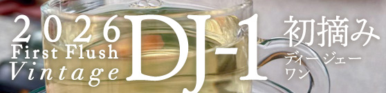DJ-�P
