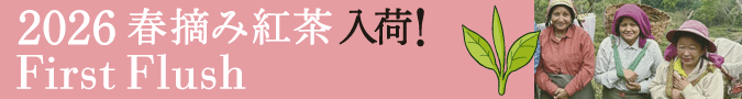 �C���h �I�[�K�j�b�N �L�@�Β�