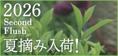 �}�J�C�o�� �I�[�K�j�b�N �g��