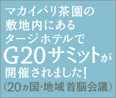 マカイバリ オーガニック 紅茶 G20