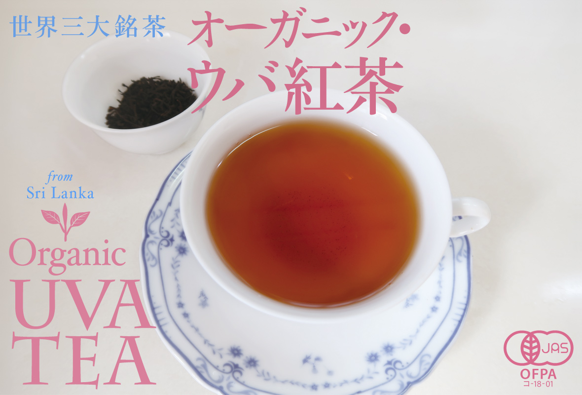 ウバ紅茶 uva tea