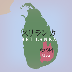 スリランカ ウバ
