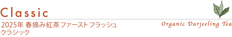 _[WeB[@t@[XgtbV