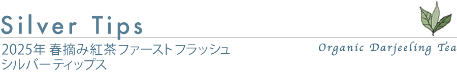 t@[XgtbV