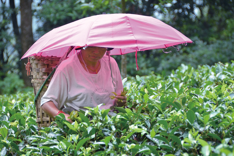 �}�J�C�o������