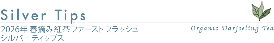 �t�@�[�X�g�t���b�V��