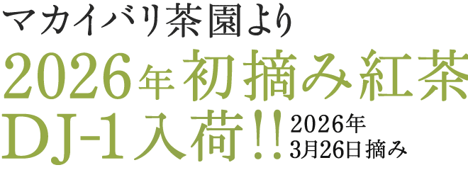 �L�@�g��