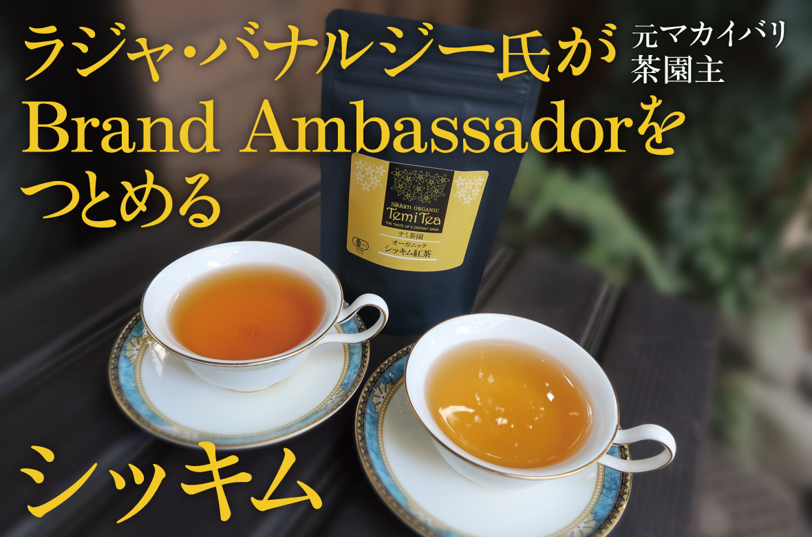 シッキム テミ茶園紅茶 temi tea