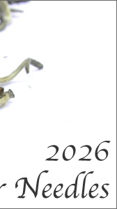 �V���o�[�j�[�h���Y