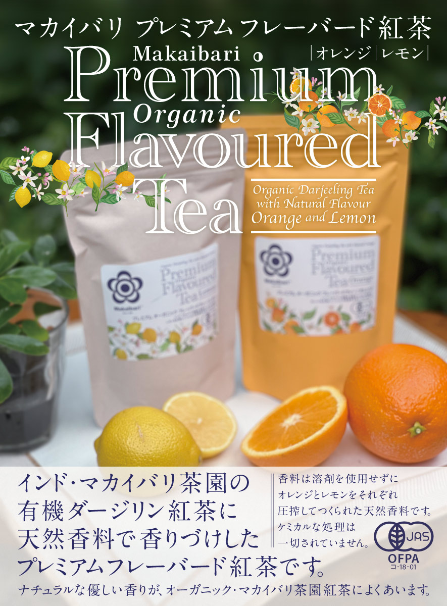 �v���~�A���t���[�o�[�h�g��